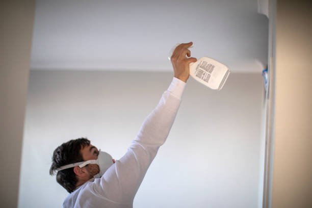 Lake Forest, IL Mold Removal Company