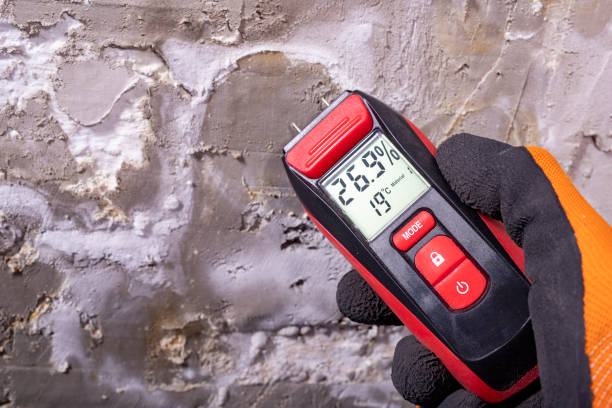 Best Office Mold Removal Services  in Lake Forest, IL