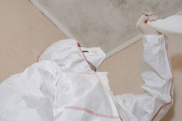 Professional Mold Removal in Lake Forest, IL