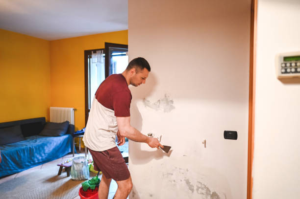 Mold Removal and Inspection in Lake Forest, IL