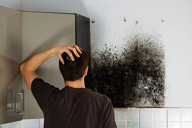 Best Crawl Space Mold Removal  in Lake Forest, IL